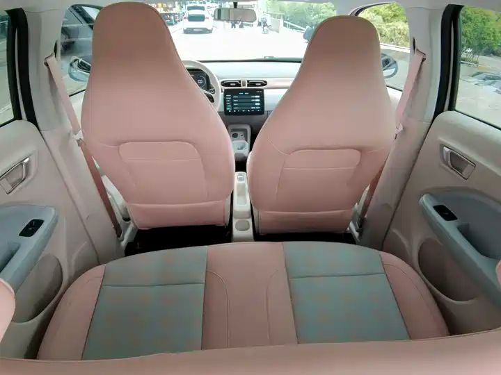310 Comfort Edition | Used EV Export from China 12