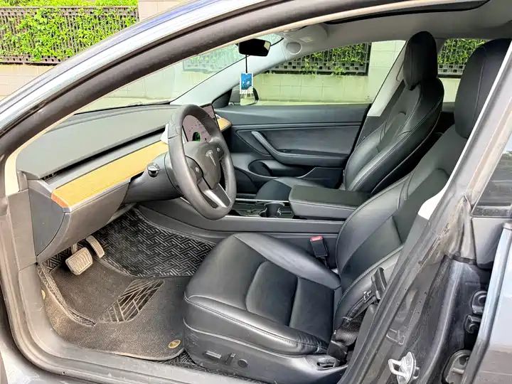Standard Range Plus Rear-Wheel Drive, Used Car from China 5