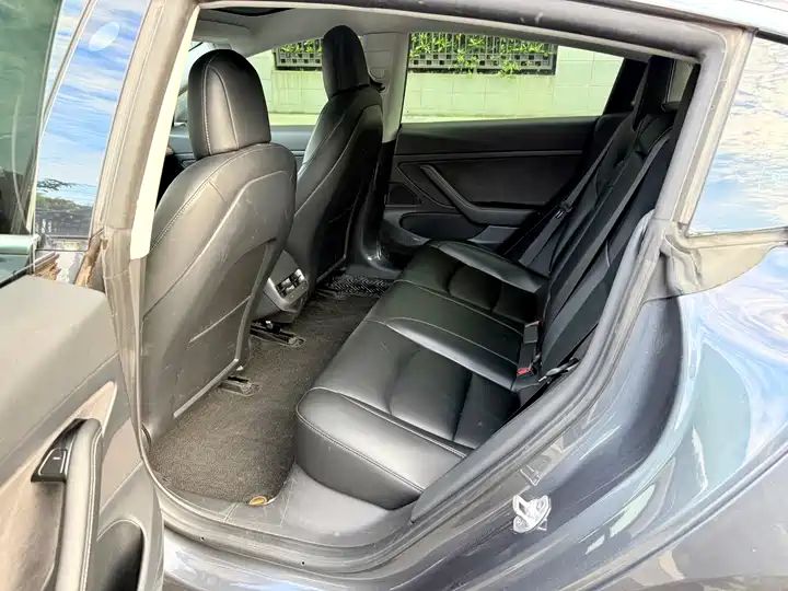 Standard Range Plus Rear-Wheel Drive, Used Car from China 6
