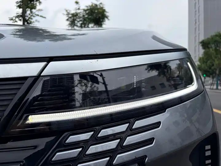2023 Champion Edition DM-i 55KM Luxury Used Car for Export 3
