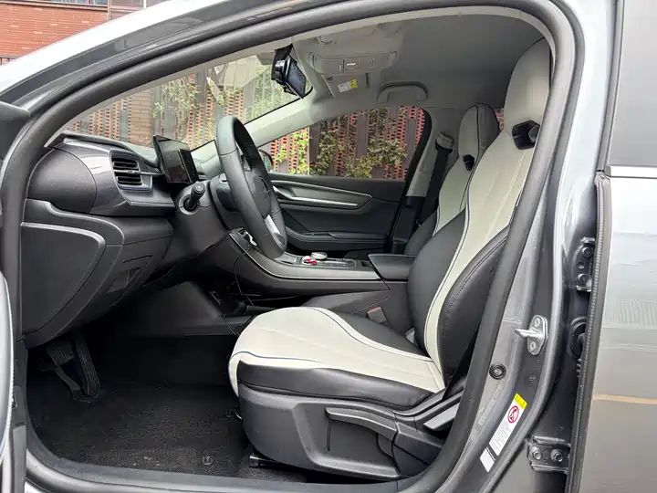 2023 Champion Edition DM-i 55KM Luxury Used Car for Export 5