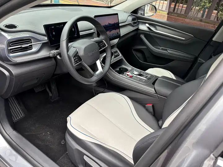 2023 Champion Edition DM-i 55KM Luxury Used Car for Export 6