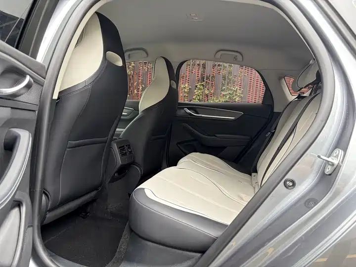 2023 Champion Edition DM-i 55KM Luxury Used Car for Export 7