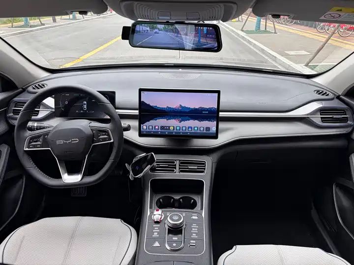 2023 Champion Edition DM-i 55KM Luxury Used Car for Export 8