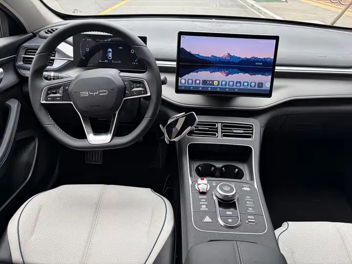 2023 Champion Edition DM-i 55KM Luxury Used Car for Export 9