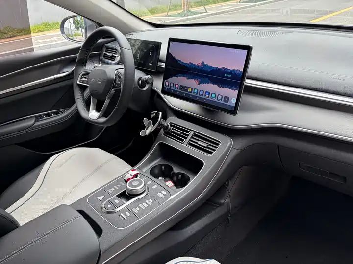 2023 Champion Edition DM-i 55KM Luxury Used Car for Export 11