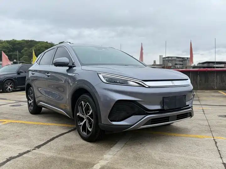 Champion Edition 430KM Beyond Version Used Car for Export 3