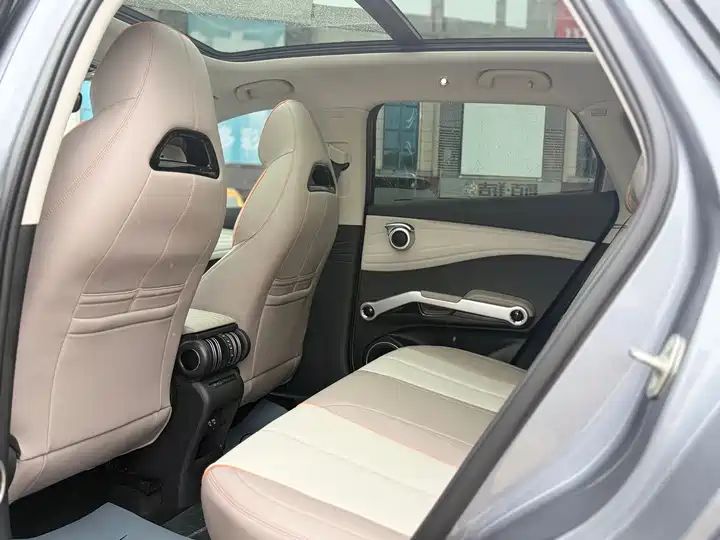 Champion Edition 430KM Beyond Version Used Car for Export 9