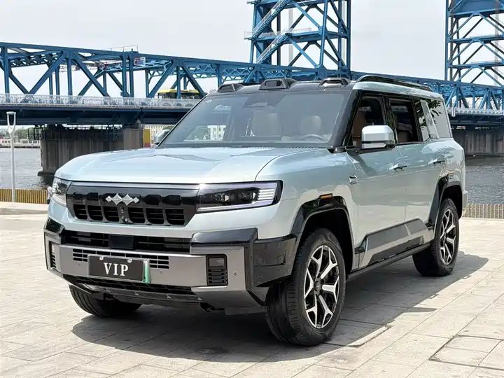 2025 Wisdom & Courage Luxury 7-Seater Used Car for Export 2