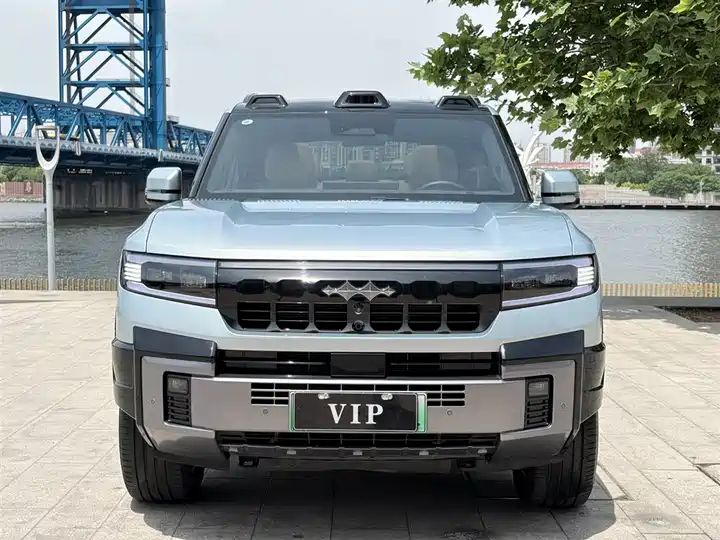 2025 Wisdom & Courage Luxury 7-Seater Used Car for Export 3