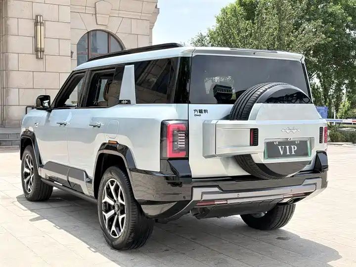 2025 Wisdom & Courage Luxury 7-Seater Used Car for Export 8