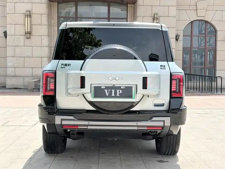 2025 Wisdom & Courage Luxury 7-Seater Used Car for Export 9