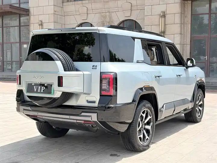 2025 Wisdom & Courage Luxury 7-Seater Used Car for Export 10
