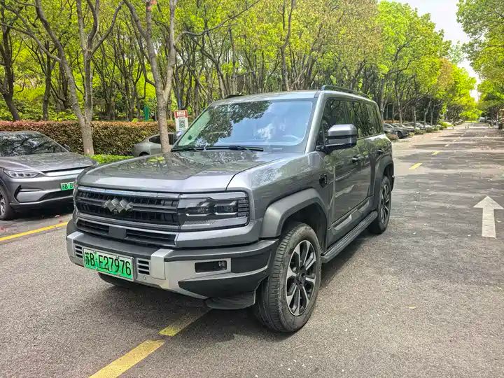 2024 Pilot Edition Off-road Used Car for Export from China - Image 1