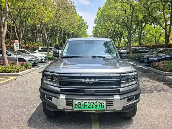2024 Pilot Edition Off-road Used Car for Export from China 2