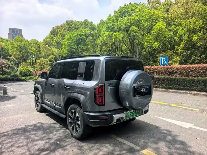 2024 Pilot Edition Off-road Used Car for Export from China 4