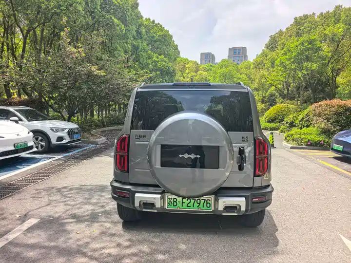2024 Pilot Edition Off-road Used Car for Export from China 5