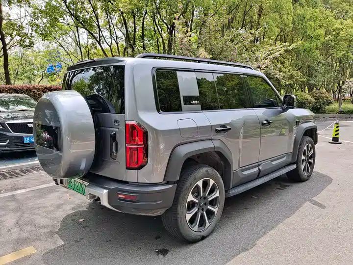 2024 Pilot Edition Off-road Used Car for Export from China 6