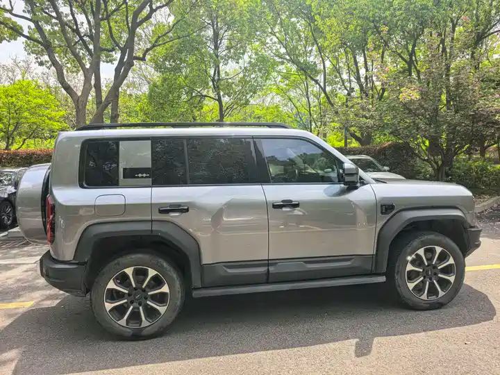 2024 Pilot Edition Off-road Used Car for Export from China 8