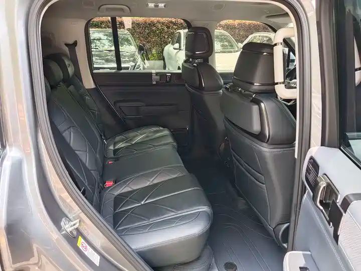 2024 Pilot Edition Off-road Used Car for Export from China 12