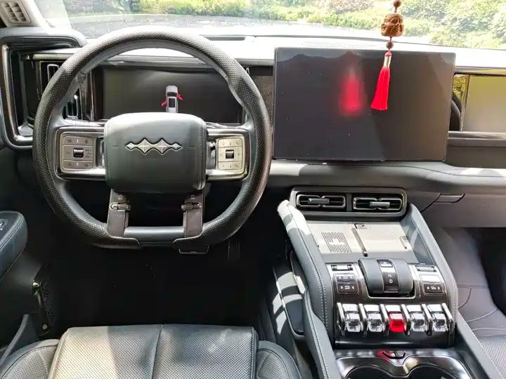 2024 Pilot Edition Off-road Used Car for Export from China 15