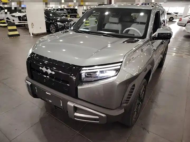 501km 4WD Ultra EV Off-road SUV from China 2