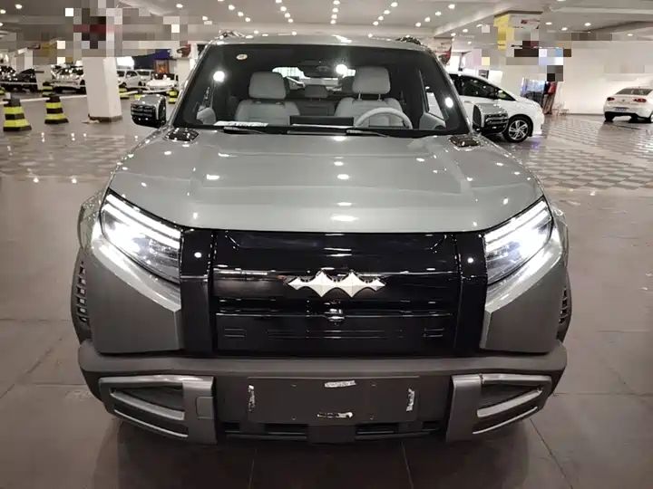 501km 4WD Ultra EV Off-road SUV from China 3