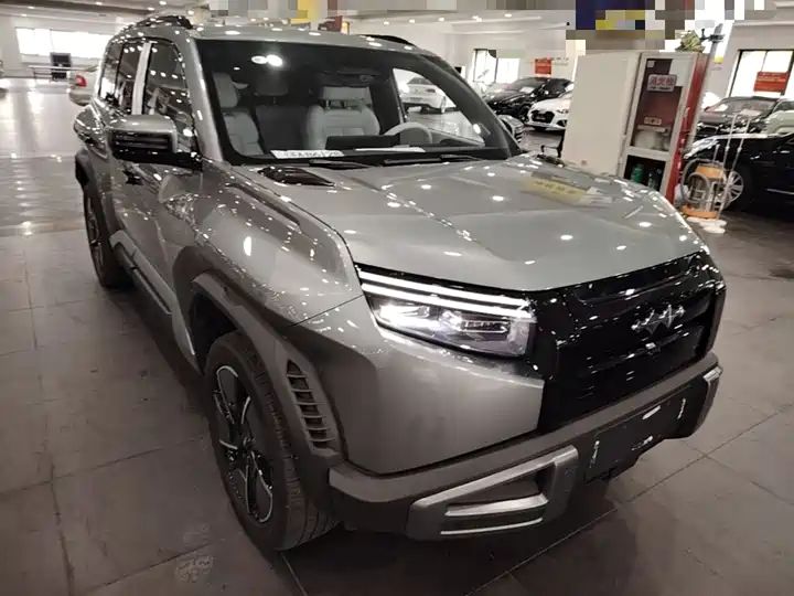 501km 4WD Ultra EV Off-road SUV from China 4