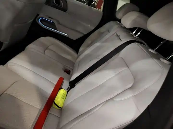 501km 4WD Ultra EV Off-road SUV from China 15