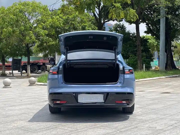 2025 550KM LiDAR Version Used EV for China Export 18