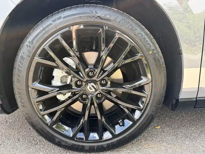 Max 515km Electric Hatchback from China 14
