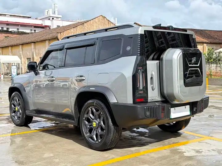 Wilderness Edition | Used SUV Export from China 10
