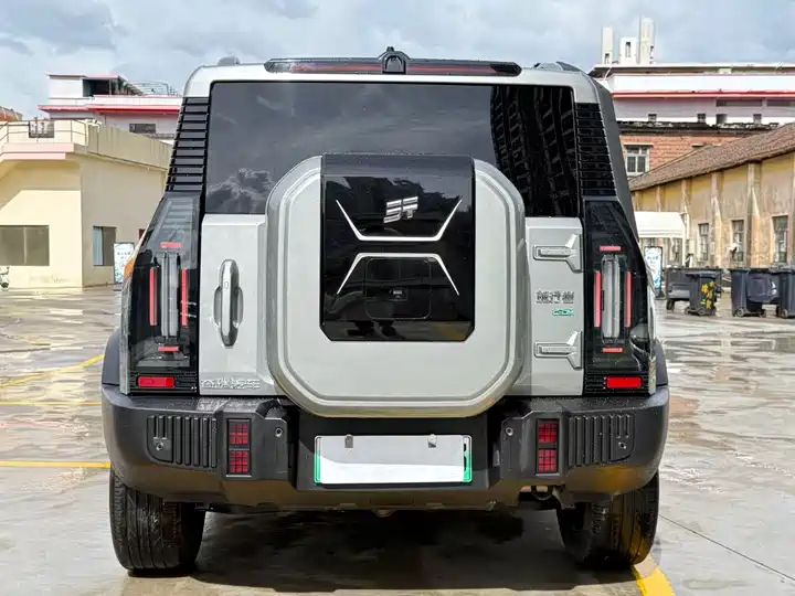 Wilderness Edition | Used SUV Export from China 11