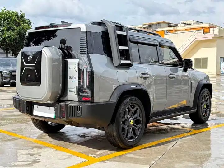 Wilderness Edition | Used SUV Export from China 12