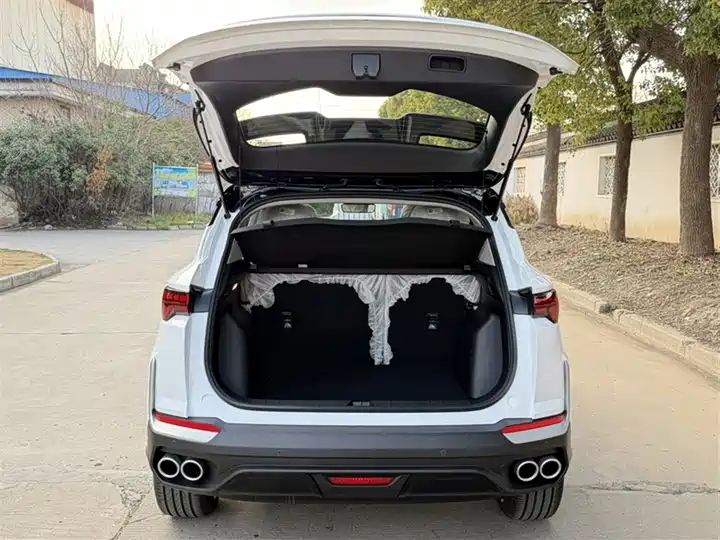 DCT Starshine, Premium Used SUV with Chaboshi S-Class Inspection, Export from China 7