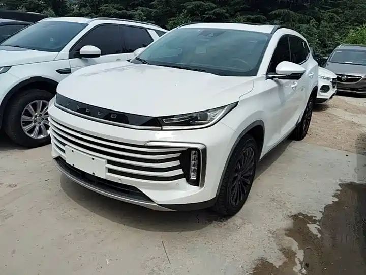 290T 2WD Star Glory Edition, Export Used Car from China Auto Web 1