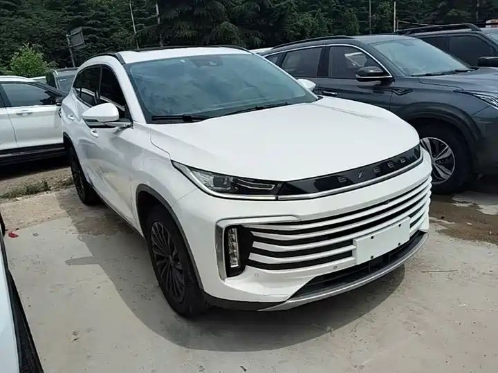 290T 2WD Star Glory Edition, Export Used Car from China Auto Web 3