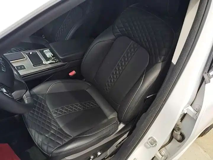 290T 2WD Star Glory Edition, Export Used Car from China Auto Web 10