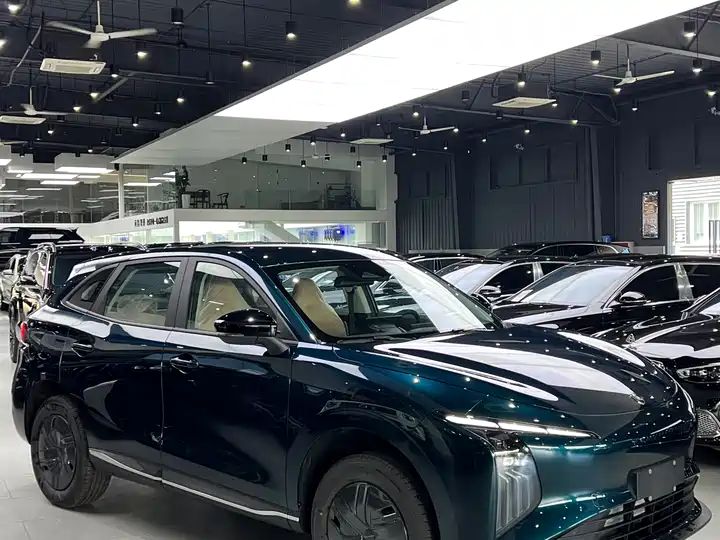 530km Premium Edition | China Auto Network, China's Largest Used Car Export Platform 8