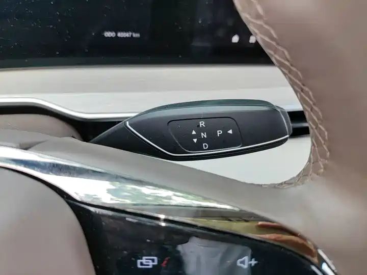 C-DM 100km Long Range Pro 2WD LHD New Car for Export from China 10