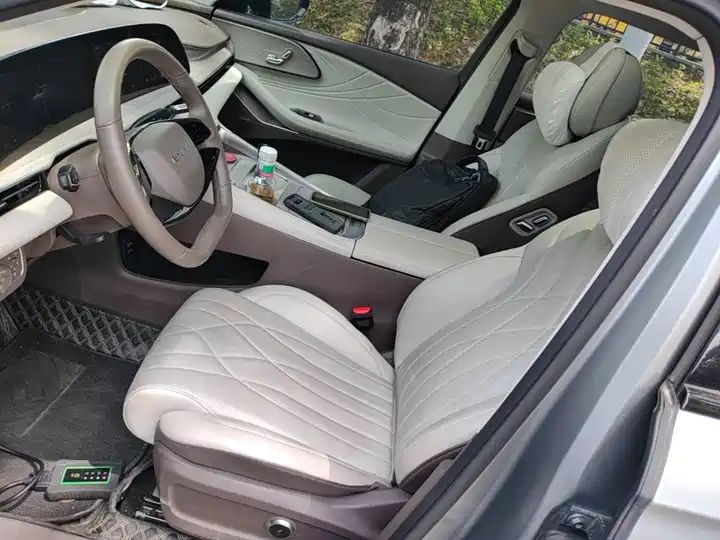 C-DM 100km Long Range Pro 2WD LHD New Car for Export from China 11