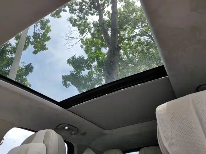 C-DM 100km Long Range Pro 2WD LHD New Car for Export from China 13