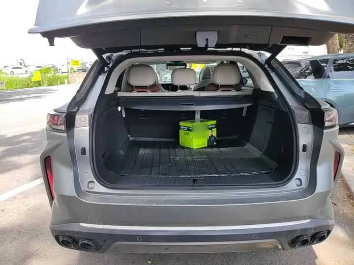 C-DM 100km Long Range Pro 2WD LHD New Car for Export from China 14