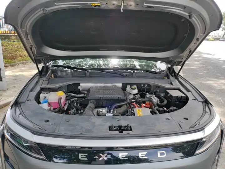 C-DM 100km Long Range Pro 2WD LHD New Car for Export from China 15