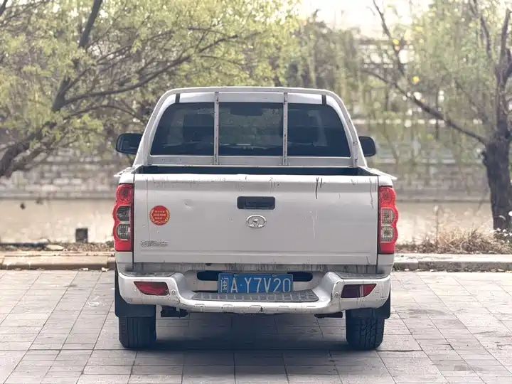 2.2L Classic 2WD Double Cab LHD Pickup Truck – Export to Ghana, Nigeria & Algeria 3