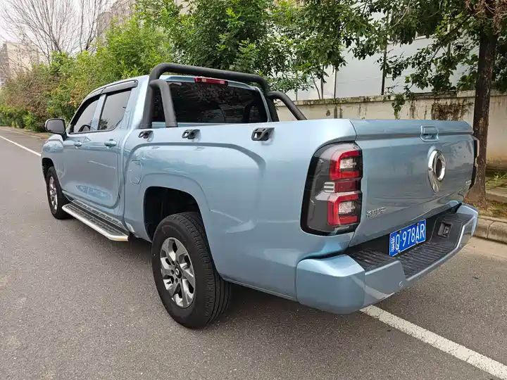 Cannon 2.0T Diesel Automatic 4WD Elite Long Bed LHD Pickup – China Used Truck Export 4