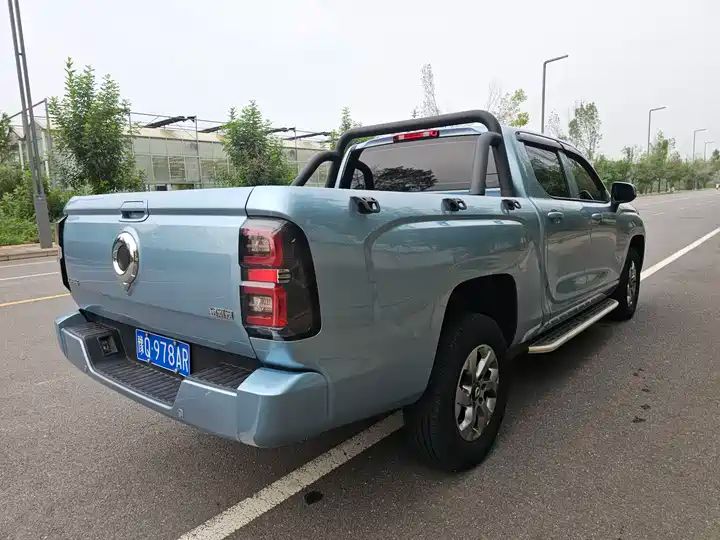 Cannon 2.0T Diesel Automatic 4WD Elite Long Bed LHD Pickup – China Used Truck Export 6