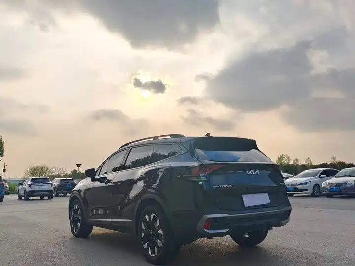 2WD Prestige LHD SUV – China Used Car Export to Ghana, Nigeria & Algeria 4