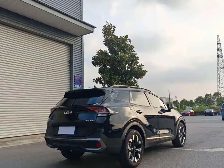 2WD Prestige LHD SUV – China Used Car Export to Ghana, Nigeria & Algeria 6