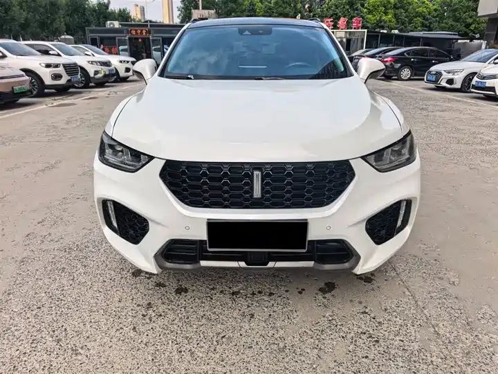 2.0T Flagship LHD SUV | Good Condition Used Chinese Cars Wholesale Export Sourcing 2